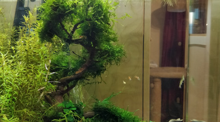 4 mois du nano (profil)