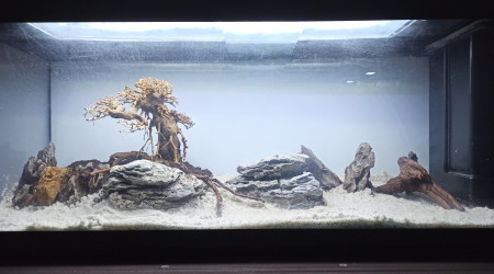 Mise en place du hardscape