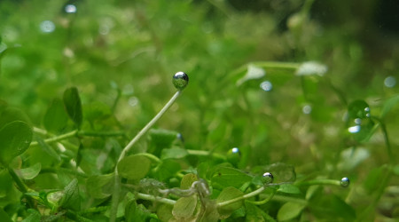 Nouveaux arrivants et changement du décor