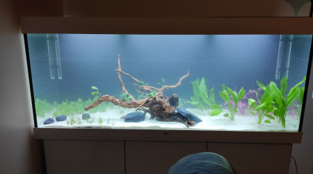 aquarium Juwel Rio 450 litres