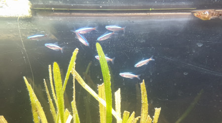 Communautaire 190L photos de mes derniers arrivés