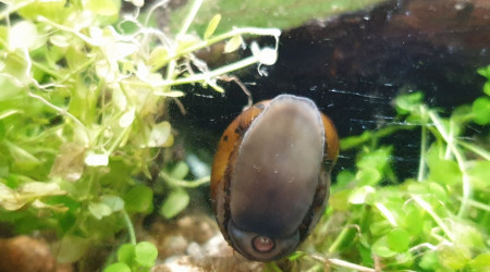 Communautaire 190L photos de mes derniers arrivés