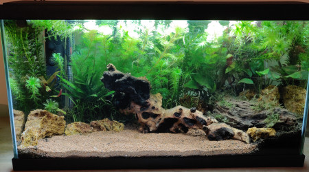 3 jours après c'est beaucoup plus propre !