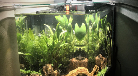 aquarium Nano 20 L N1