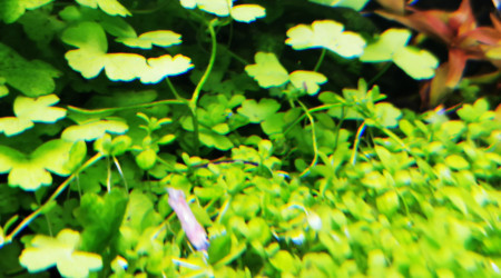 La cité de la peur...