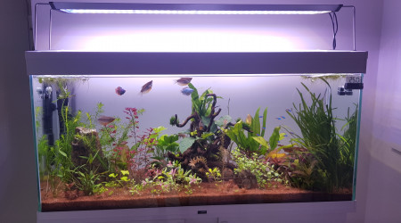 Photo de cette semaine