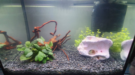 aquarium 30L