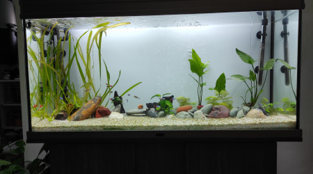 aquarium 250 Litres