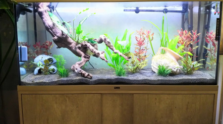 apres un peu plus d'1 mois de cyclage