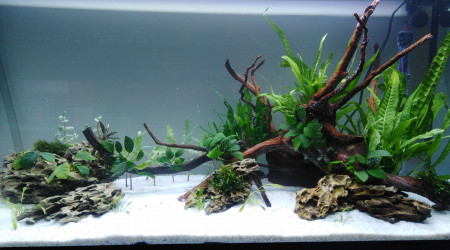 aquarium 200L