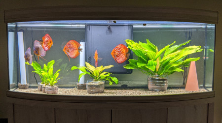 On attend un nouveau filtre