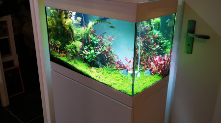 aquarium Oase Styline 125