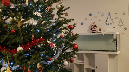Parce que c'est bientôt noël...
