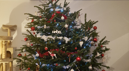 Parce que c'est bientôt noël...