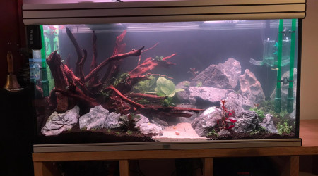 aquarium Bac 400