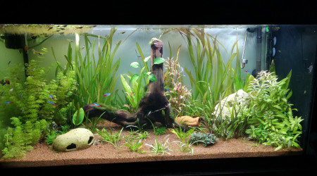 aquarium Aquarium 200 litre