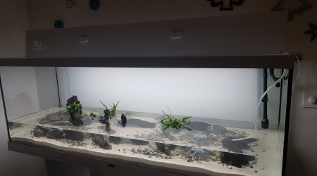 Remplissage en cours...