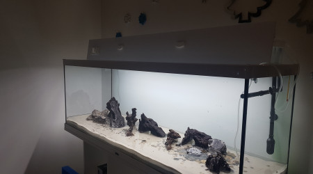 Remplissage en cours...