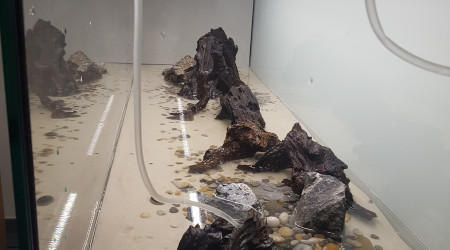 Remplissage en cours...