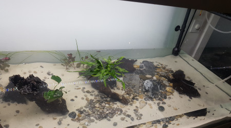 Remplissage en cours...