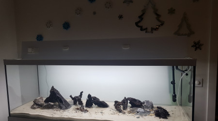 Remplissage en cours...