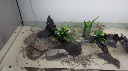 Remplissage en cours...