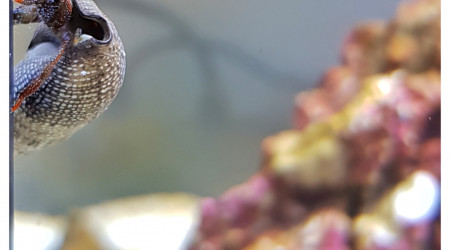 La montée infernale...