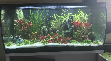 Après changement d’eau.