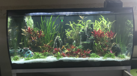 Après changement d’eau.