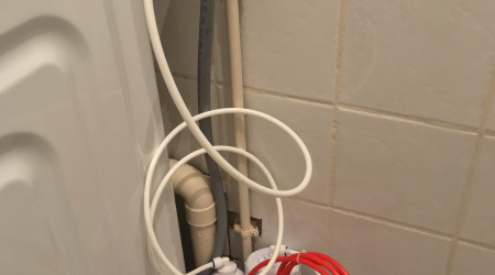 Après changement d’eau.