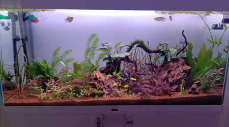 Nouvelle disposition