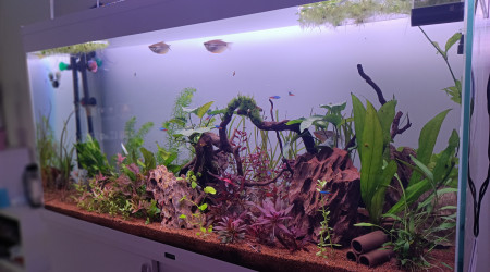 Nouvelle disposition