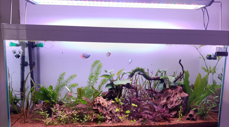 Nouvelle disposition