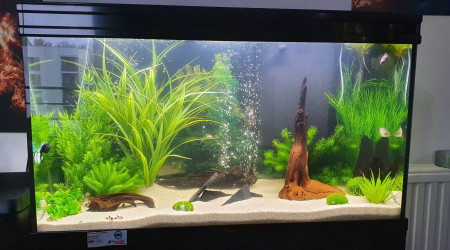 aquarium Chambre 200L