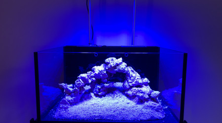 aquarium Innovative Marine Lagoon 25