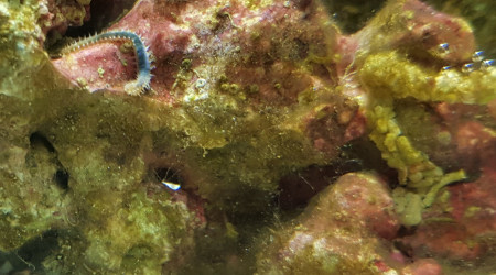 5 jours,  la vie commence à s'agiter.