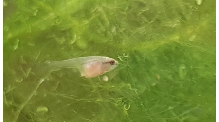 Quand l'appétit va, tout va...