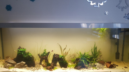 Petite évolution ^^