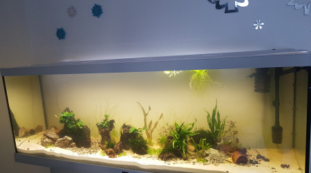 Petite évolution ^^