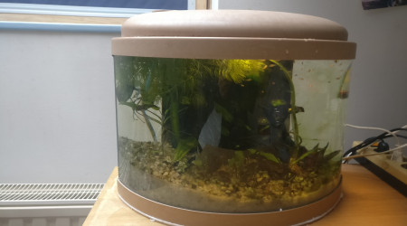 aquarium aquarium pour alvins