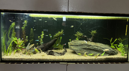 aquarium Savoierium