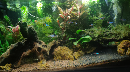 Ça pousse toujours et tout le monde va bien !