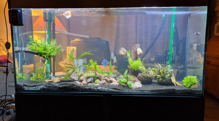 aquarium 240 Litres