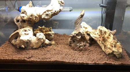 Mise en place de la deco, chauffage et filtre