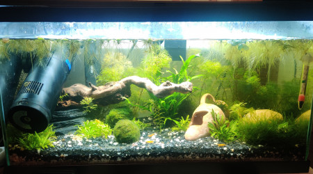 aquarium First 60l