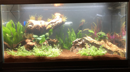 Les plantes sont plantes plus qu’à laisser tourner