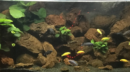 Meilleurs vœux à toute la communauté