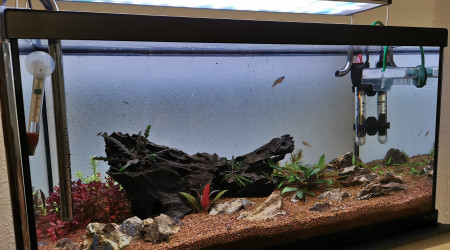 aquarium Aqua 60l