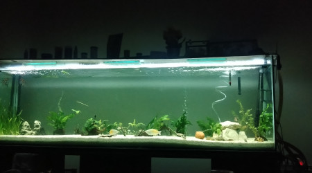 aquarium Paisible