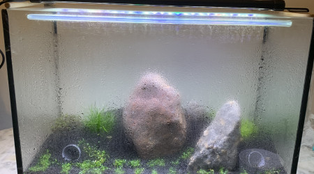 Bon ça condense ça a l’air d’aller